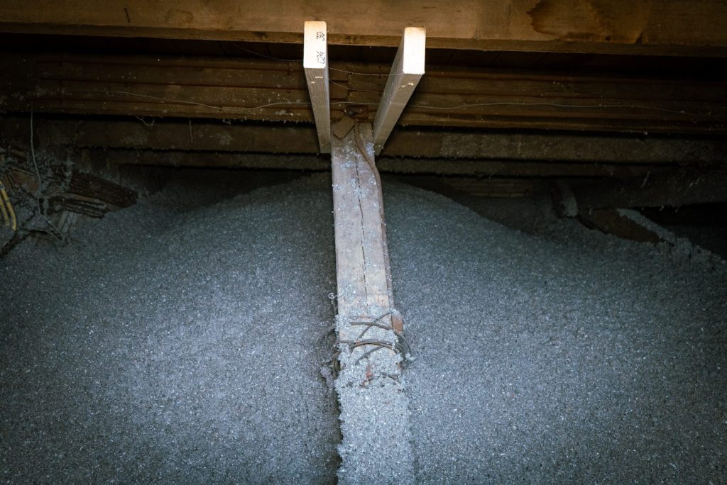 DSC00106 1 IQ3 Cellulose